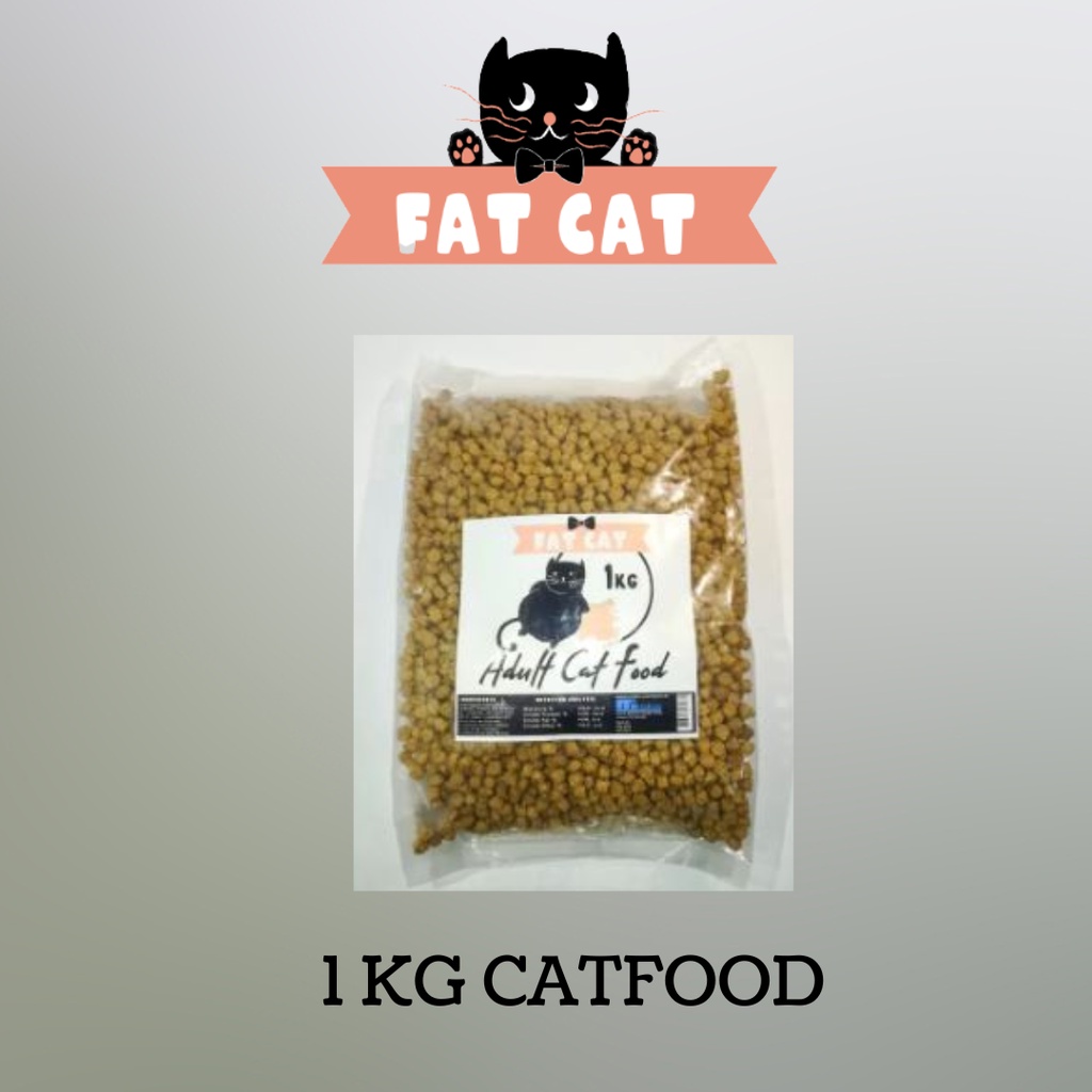 Fat hotsell cat food