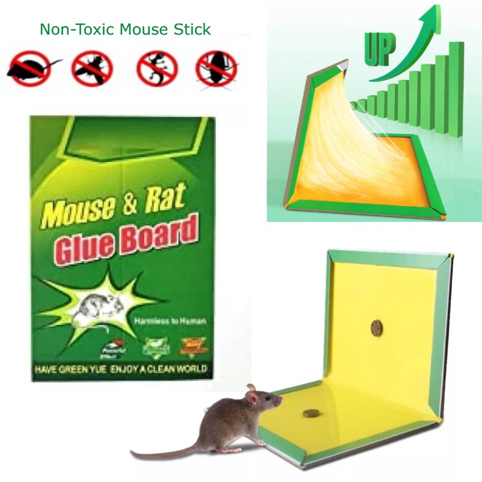 Mouse & Rat Glue Board /Mouse Trap/Rodent Expert /Rat Glue Snare ...