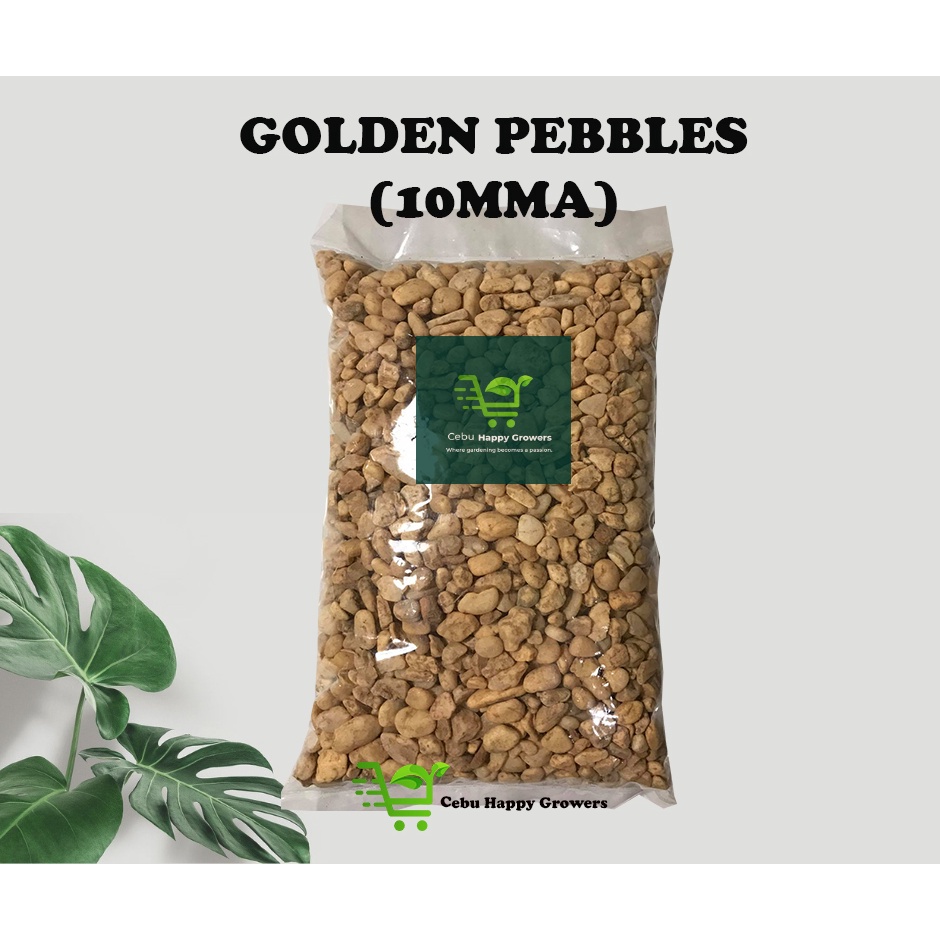 1kg Golden Pebbles (10MM A) - Natural Decorative Pebbles | Shopee ...