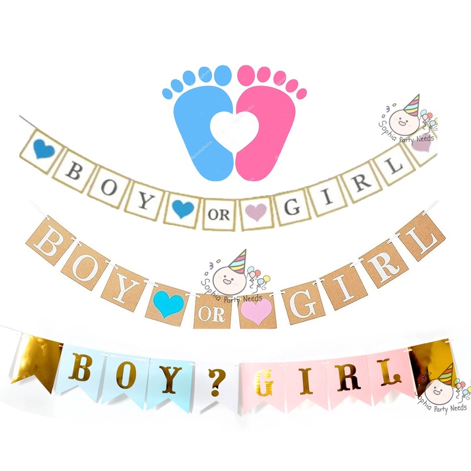 Boy Or Girl ? Gender Reveal Banner He Or She? Boy And Girl 