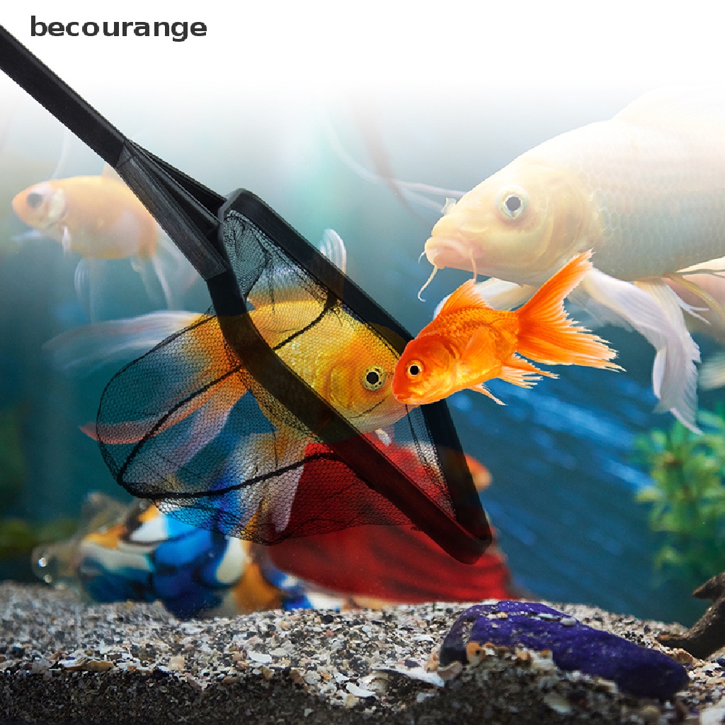 becourange] Square Shrimp Goldfish Fish Net Aquarium Fish Tank