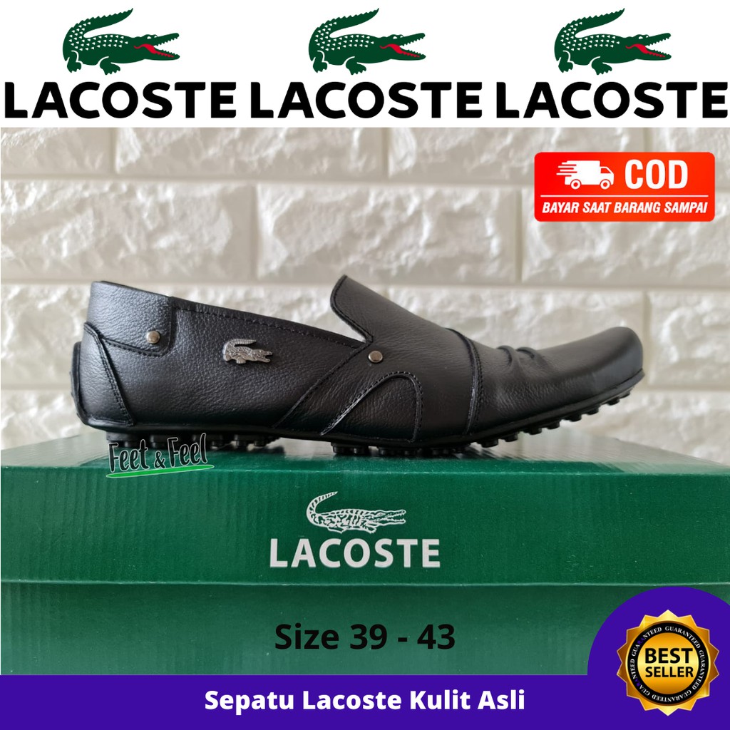 Lacoste formal shoes online