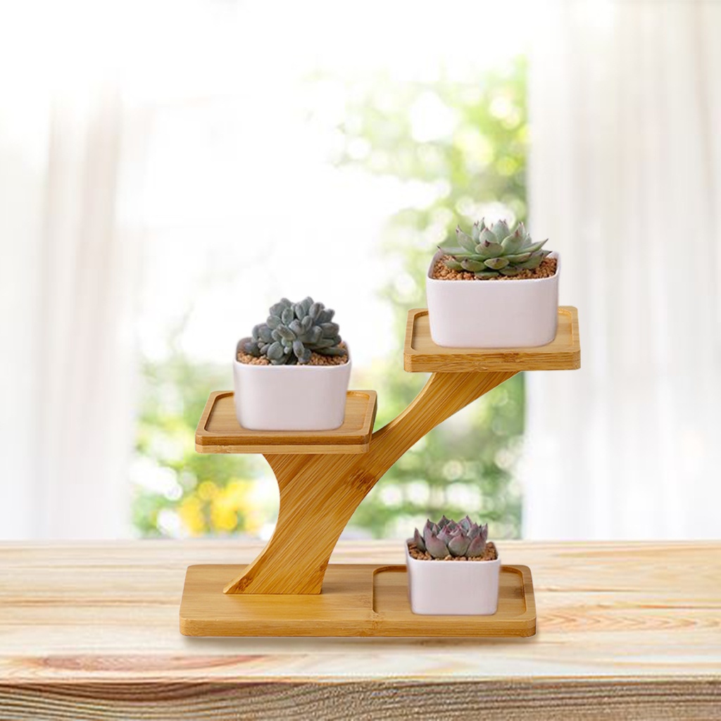 Ready Succulent Rack Holder Home Gardening Supplies Plant Office Garden ...