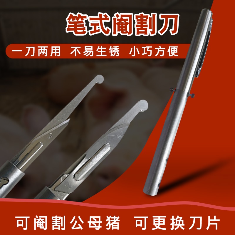 Piglets castrated pen knife knife to castrate pigs tools on pig knife
