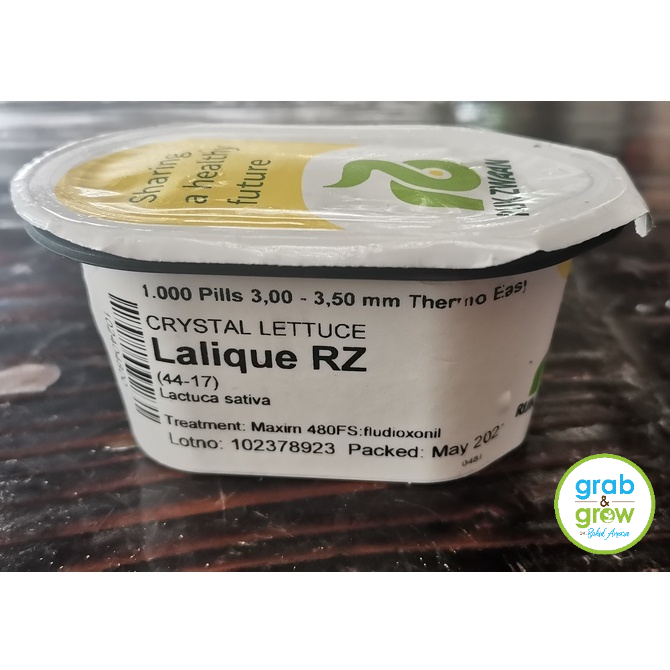 Lettuce Lalique RZ Seeds (1000 seeds) Shopee Philippines