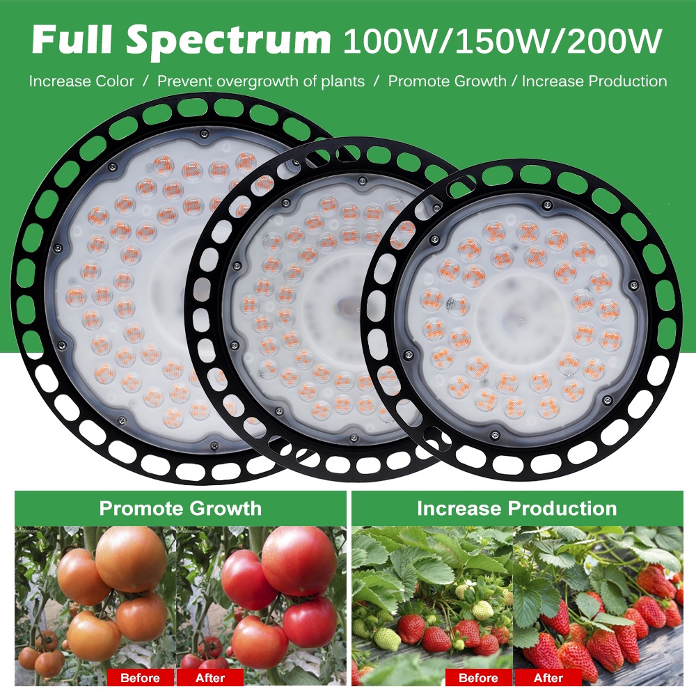 220V 100W 150W 200W LED Grow Light Phyto Lamp Full Spectrum Plant Lamp ...