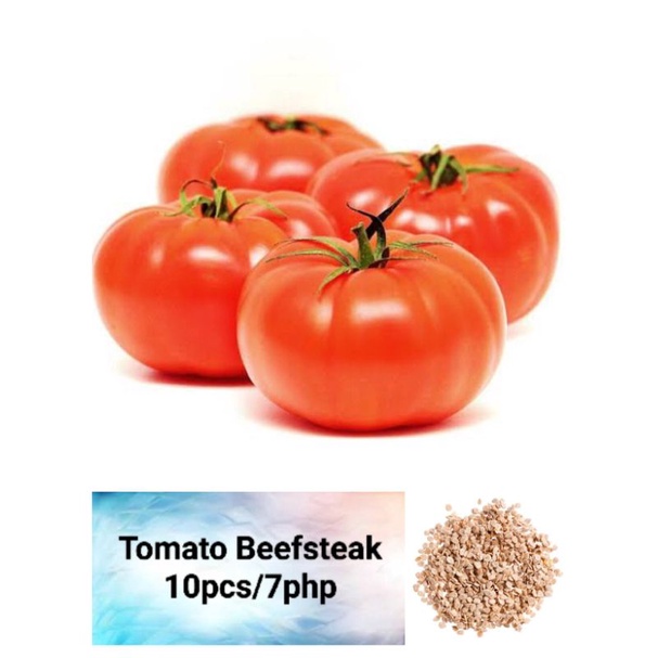 Tomato Beefsteak Seeds (10pcs) Shopee Philippines