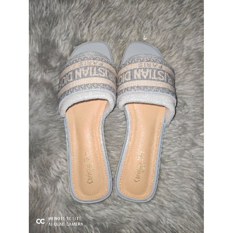 Grey best sale dior sandals