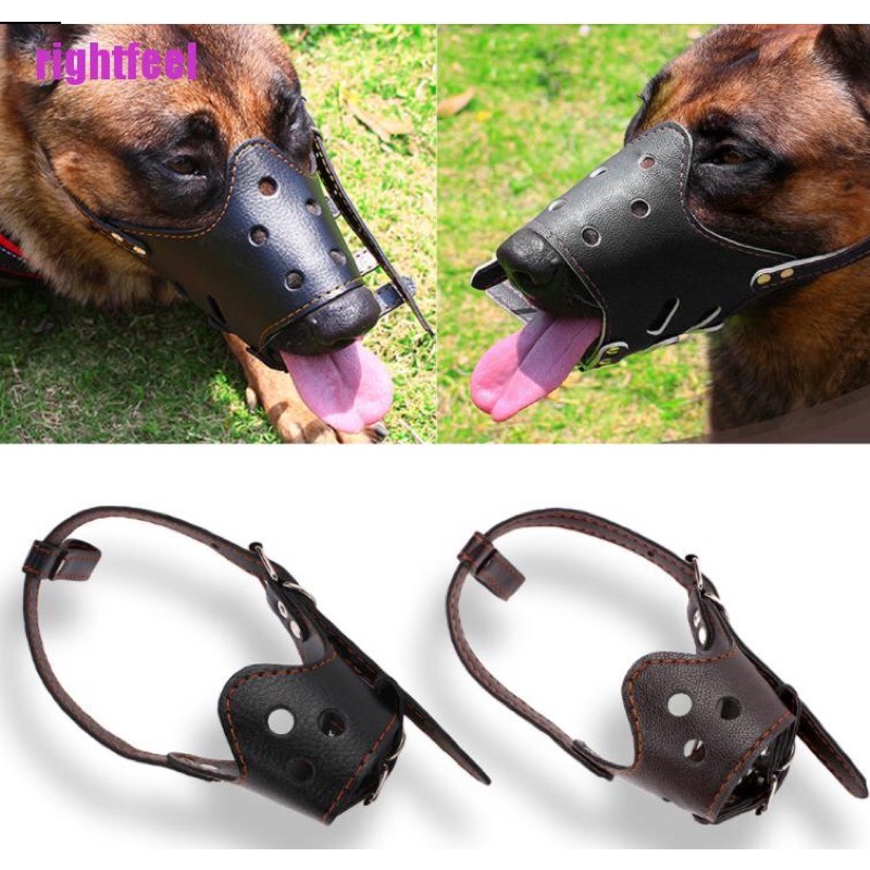 Leather dog store muzzles for biting