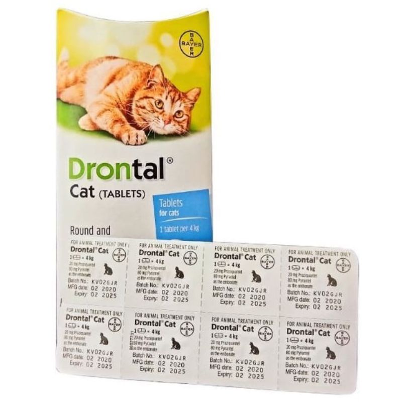 Drontal Cat & Dog Worm Medicine Shopee Philippines