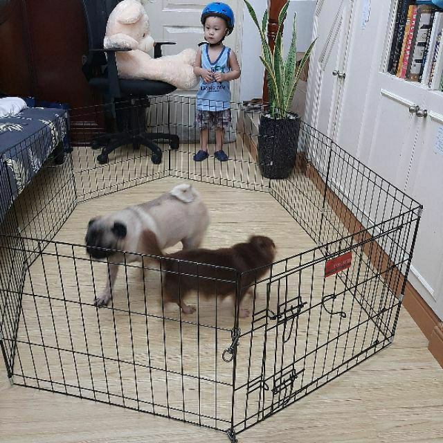 Dog hotsell crate fence