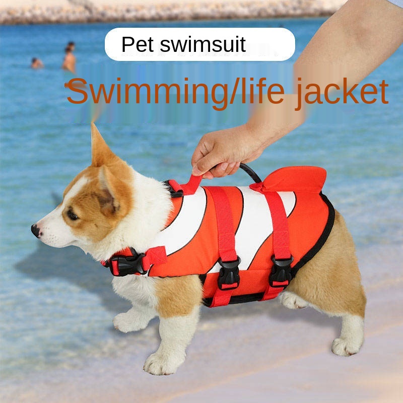 French hotsell bulldog swimsuit