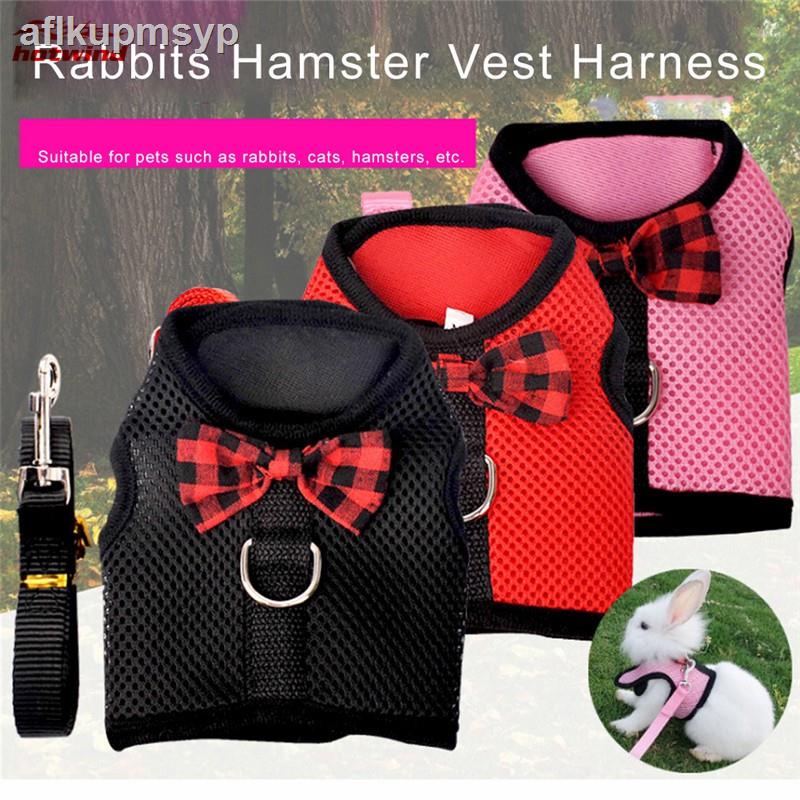 What Size Mesh Harness For Rabbits? – FQRV