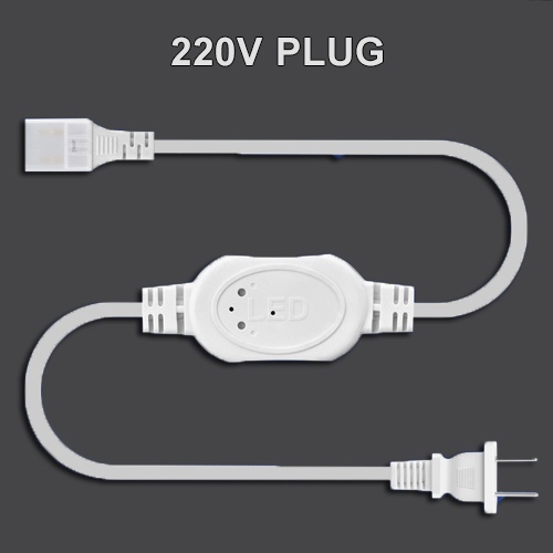 220V Plug For LED Strip Light Type C (Plug 2 Pin) Shopee Philippines