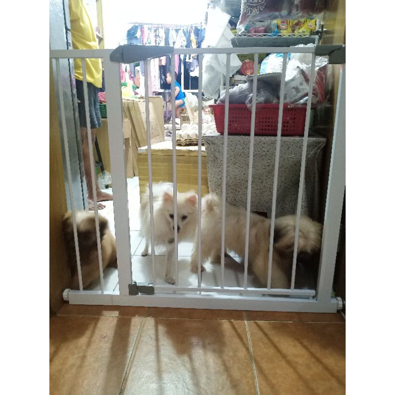 Cartimar pet shop top dog price 2018