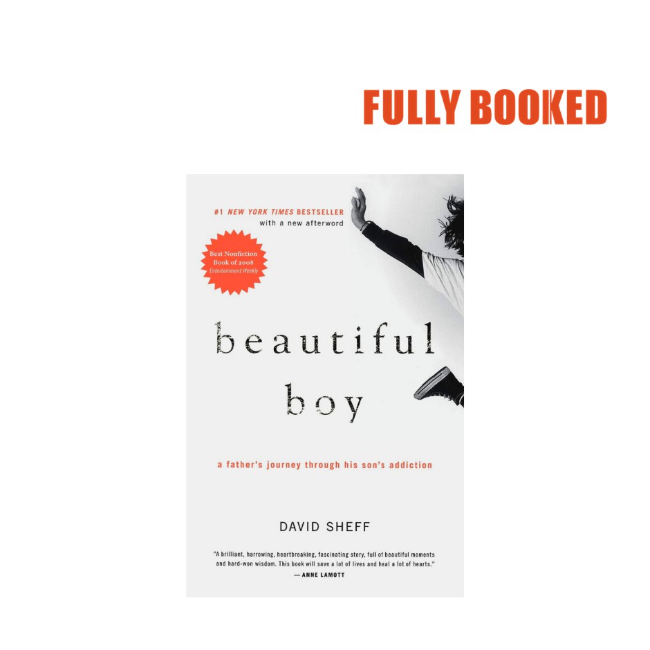 Beautiful Boy: A Father's Journey Through His Son's Addiction ...