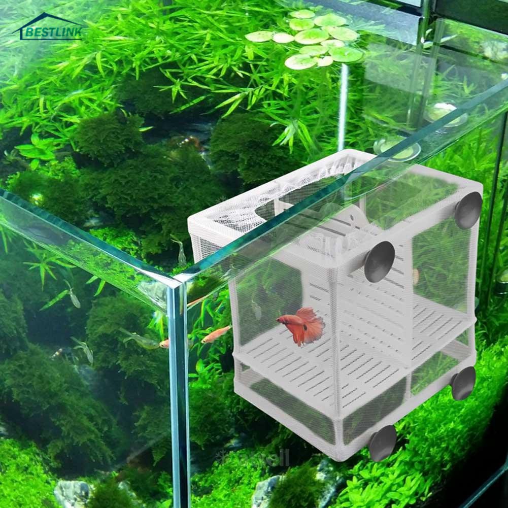 BL Aquarium Fish Breeding Breeder Box Baby Fish Hatchery Isolation Net Fish Tank Incubator Box