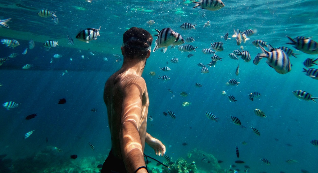 GoPro Protective Housing Waterproof Case Hero13/12/11/10/9 Waterproof ...