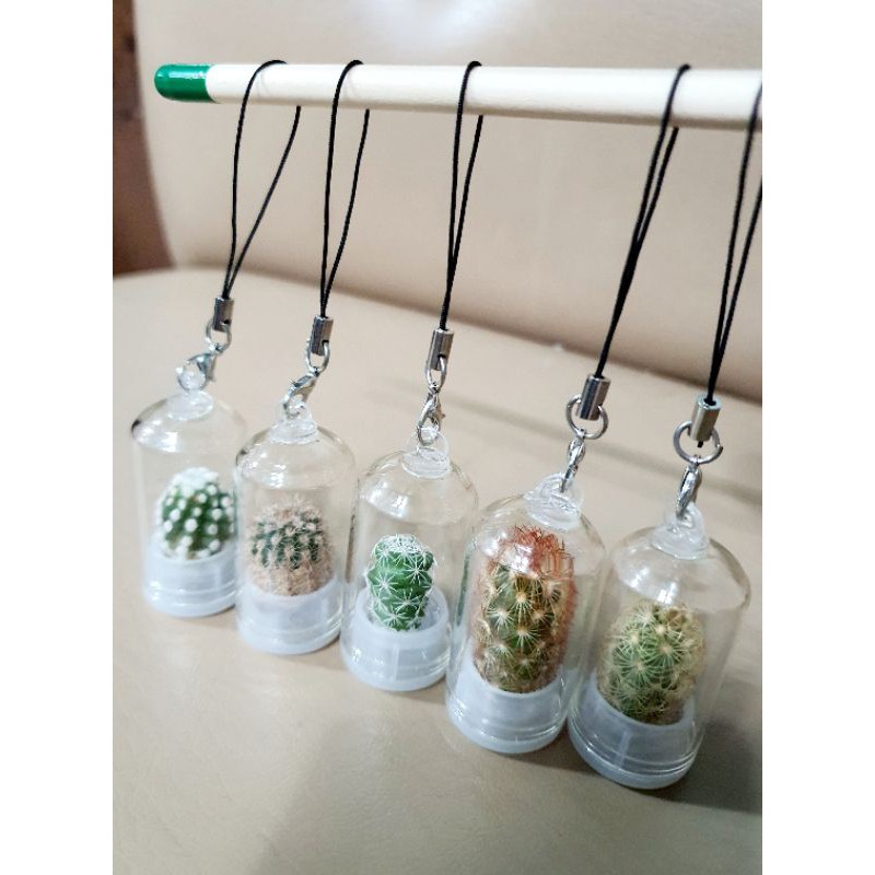 Live hot sale cactus keychain