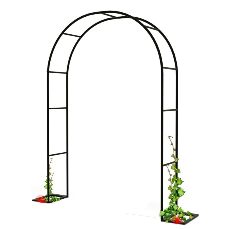 Arch, Green Plant, Flower Rack, Passion Fruit Rack, Garden Climbing ...
