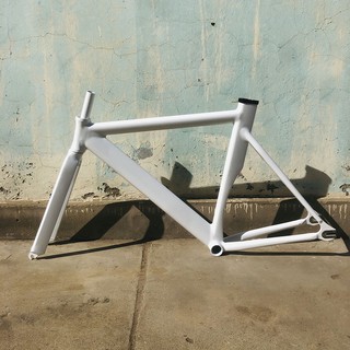 Frame store fixie alloy