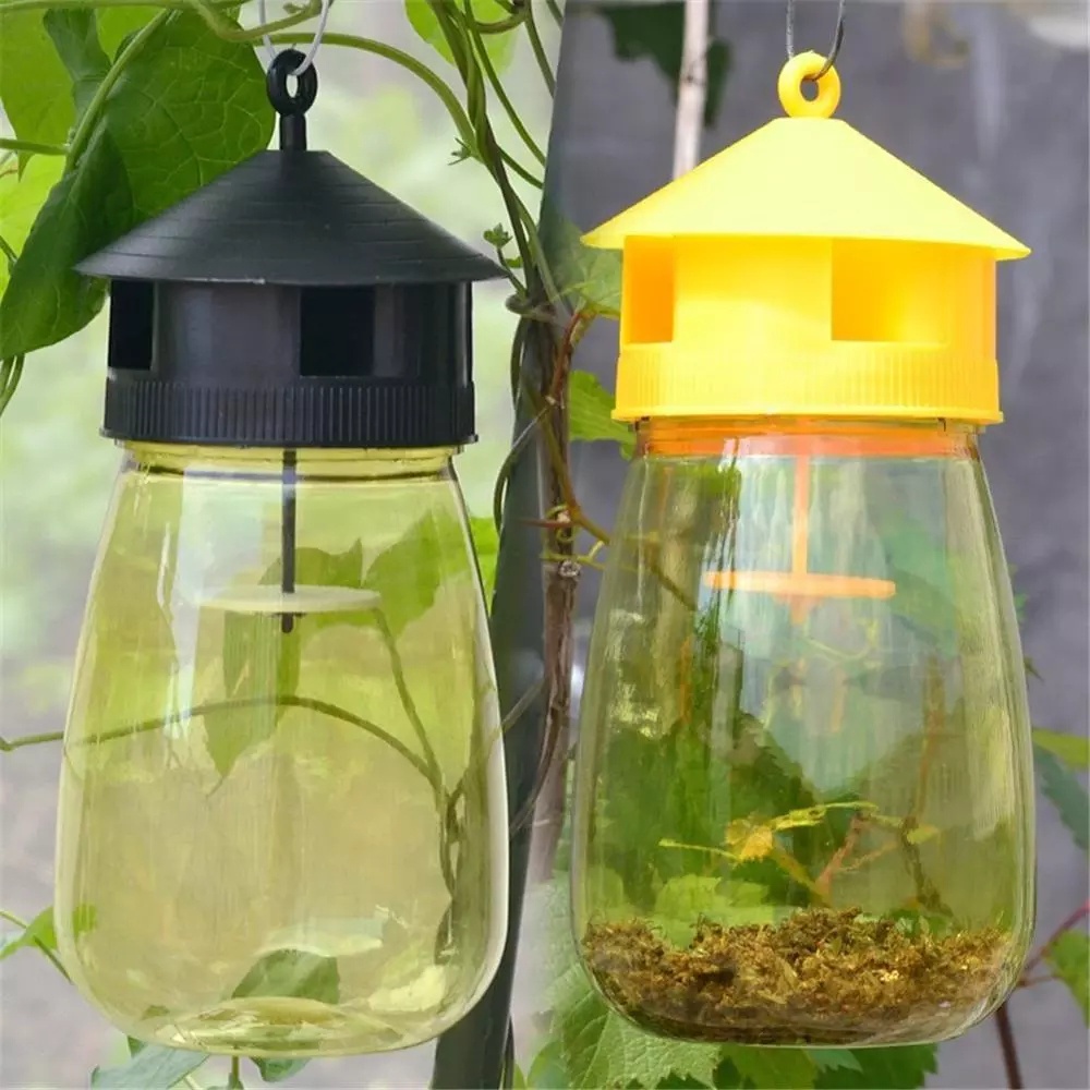 Fruit Fly Attractant Wasp Trap Trap Bait Beekeeping Beehive Tool Killer Orchard Insect Repellent