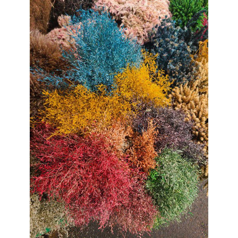 DRIED WILD MISTY/ DRIED REAL FLOWER/ DRIED FLOWER BAZAAR | Shopee ...