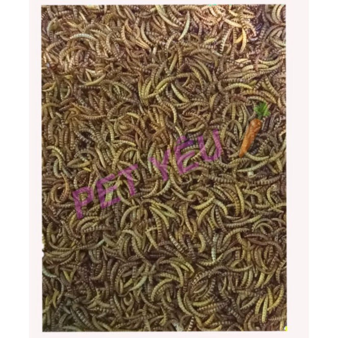 Rice worms super fragrant dried hamster worms, super fragrant