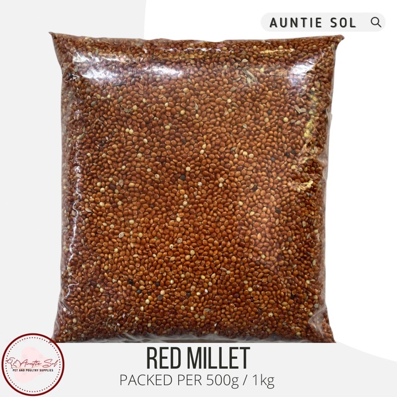 Red Millet Bird Food packed per 500g/1kg Shopee Philippines