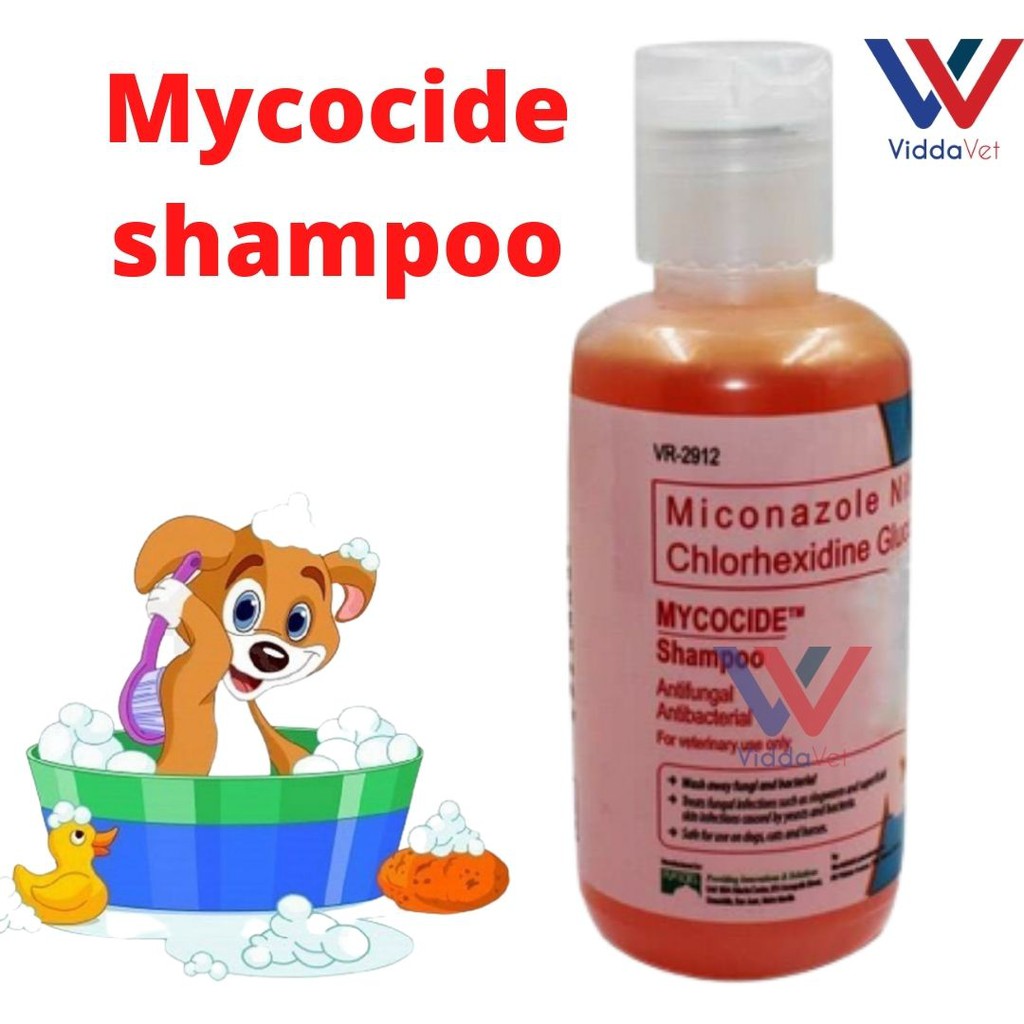 Miconazole nitrate chlorhexidine gluconate dog 2025 shampoo