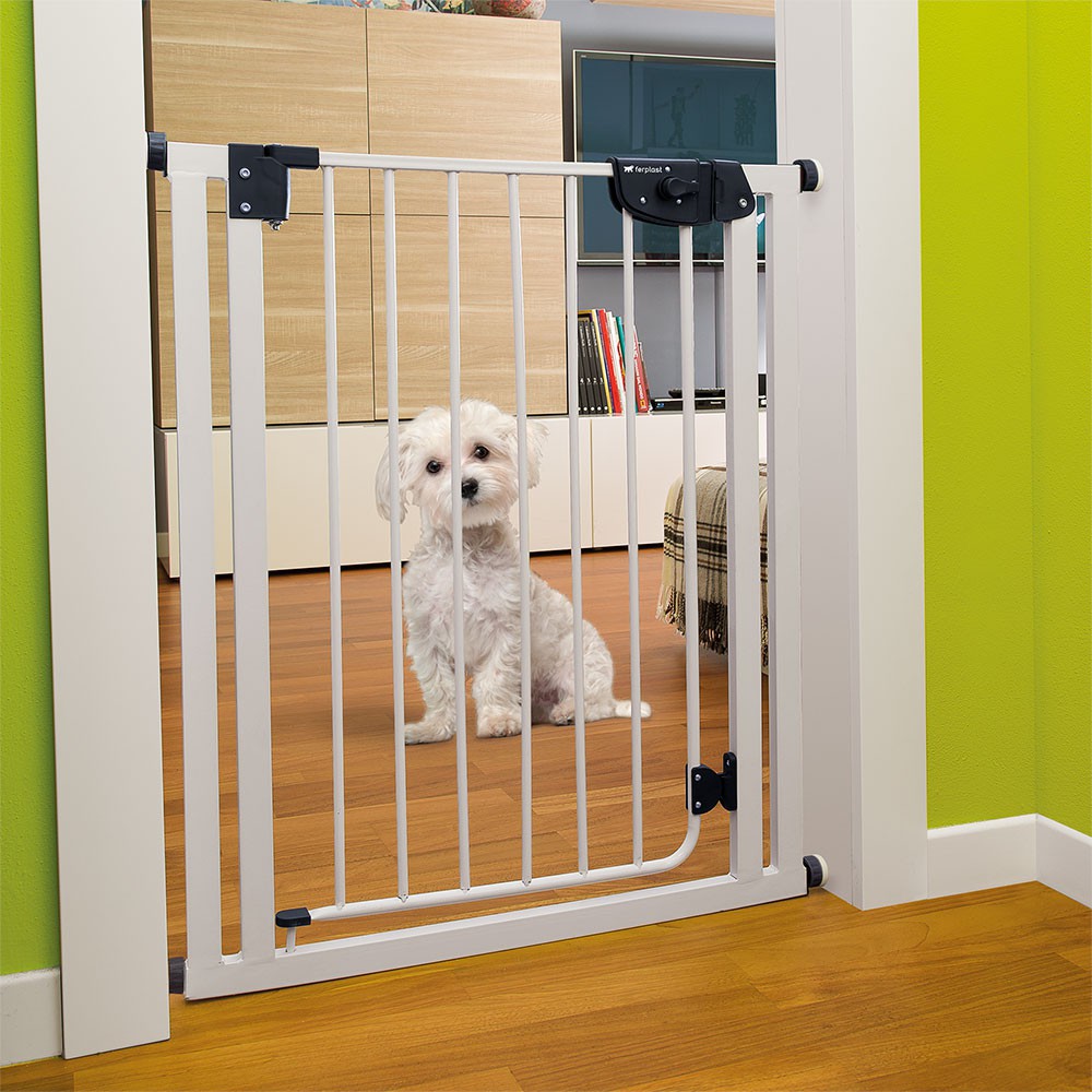 Door fence shop for dogs