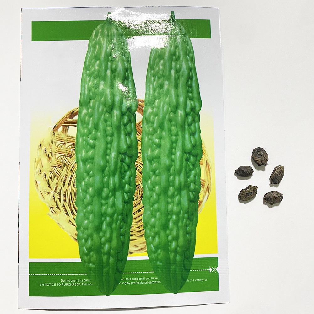 Celina Hybrid Fruits and Vegetable Seed Gardening Seeds for Plantitos