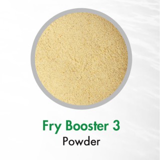 Tateh Premium Fry Booster Fry Mash Hatchery Powder Feeds 3 Tilapia ...