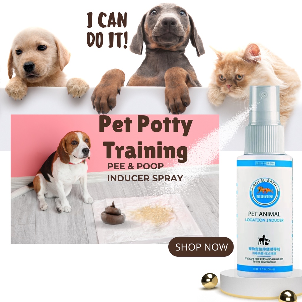 HAPPY BALAI Pet Potty Training Spray Pee & Poop Inducer Spray for