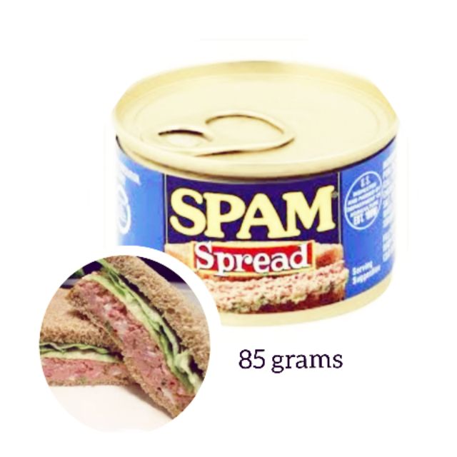 Hormel Spam Spread 85 grams Shopee Philippines