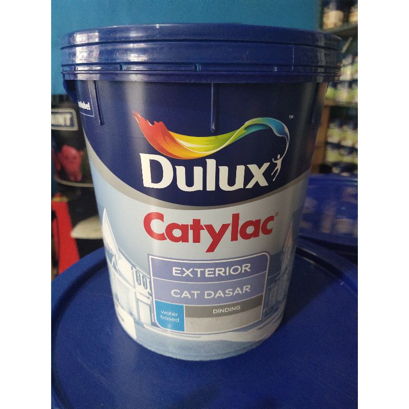 Dulux Catylac Exterior 4kg Basic Paint Shopee Philippines