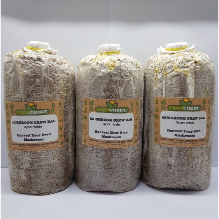 Mushroom Growing Bags 3pcs Shopee Philippines