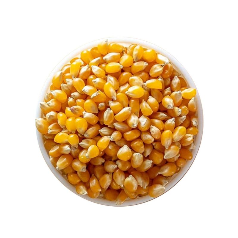 Popcorn Seeds Kernels 1kg (Unflavored/Plain) Shopee Philippines