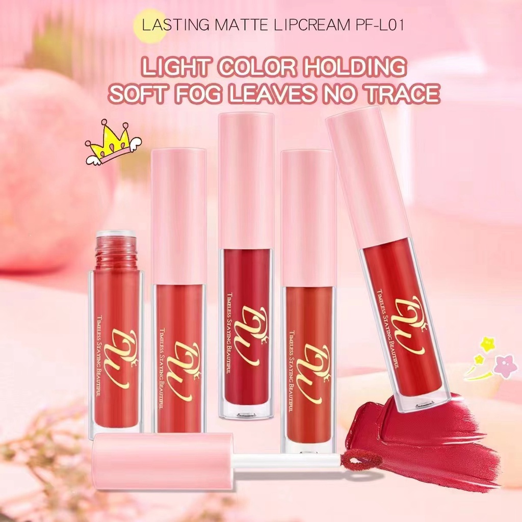 DW Flash Moisturizing Long Lasting Matte Liquid Lip Gloss Lip Tint ...