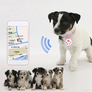 dog tracker with camera