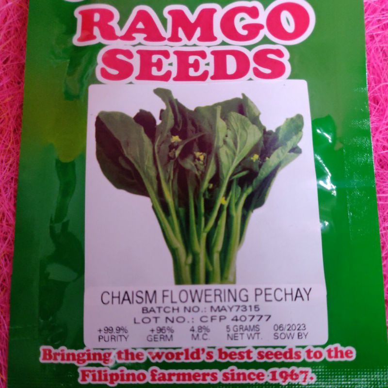 FLOWERING PECHAY SEEDS CHAISM SACHET 5GRMS VEGETABLE SEEDS RAMGO SEEDS
