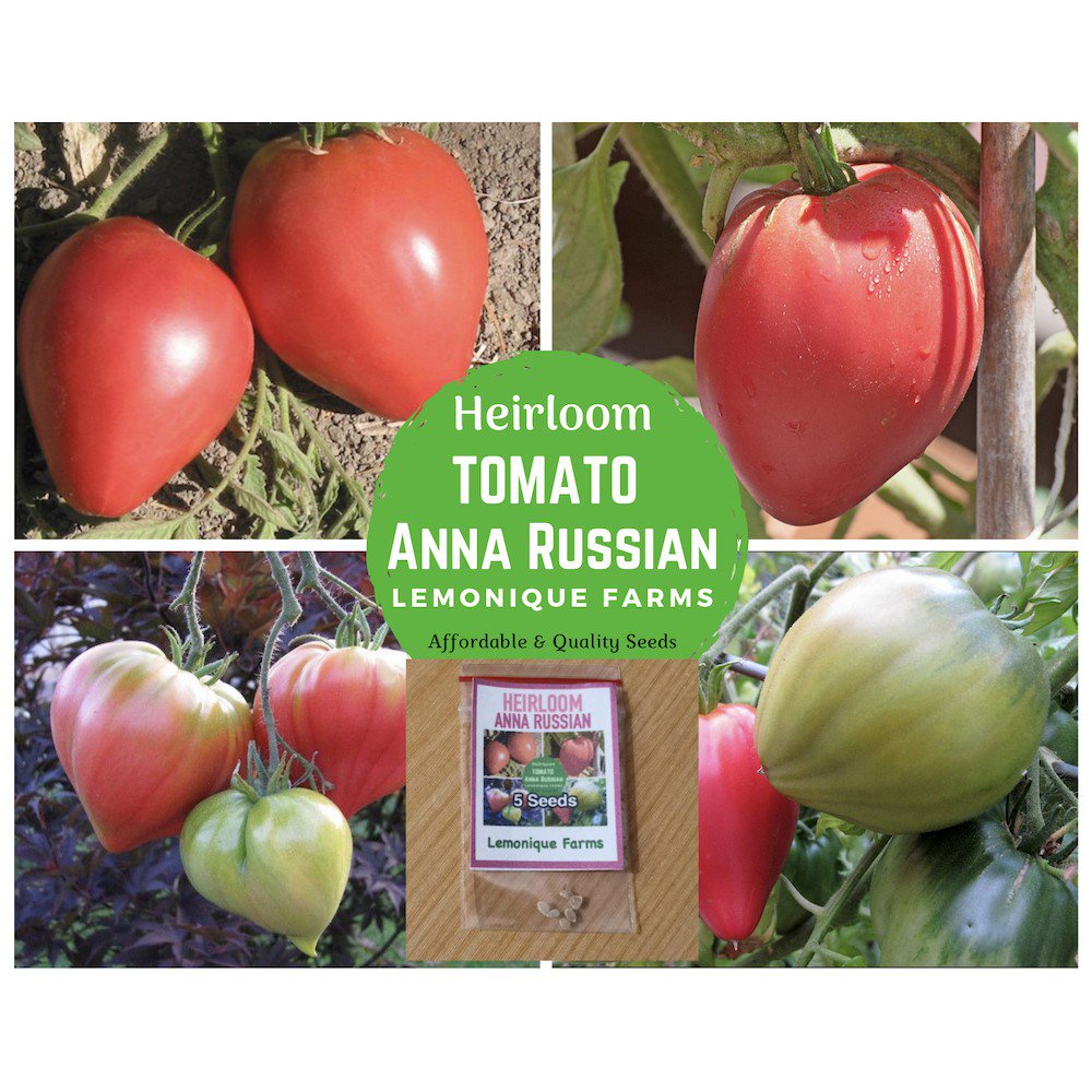 Indoor Plant Seeds Heirloom Tomato Seeds Anna Russian Tomato Heart