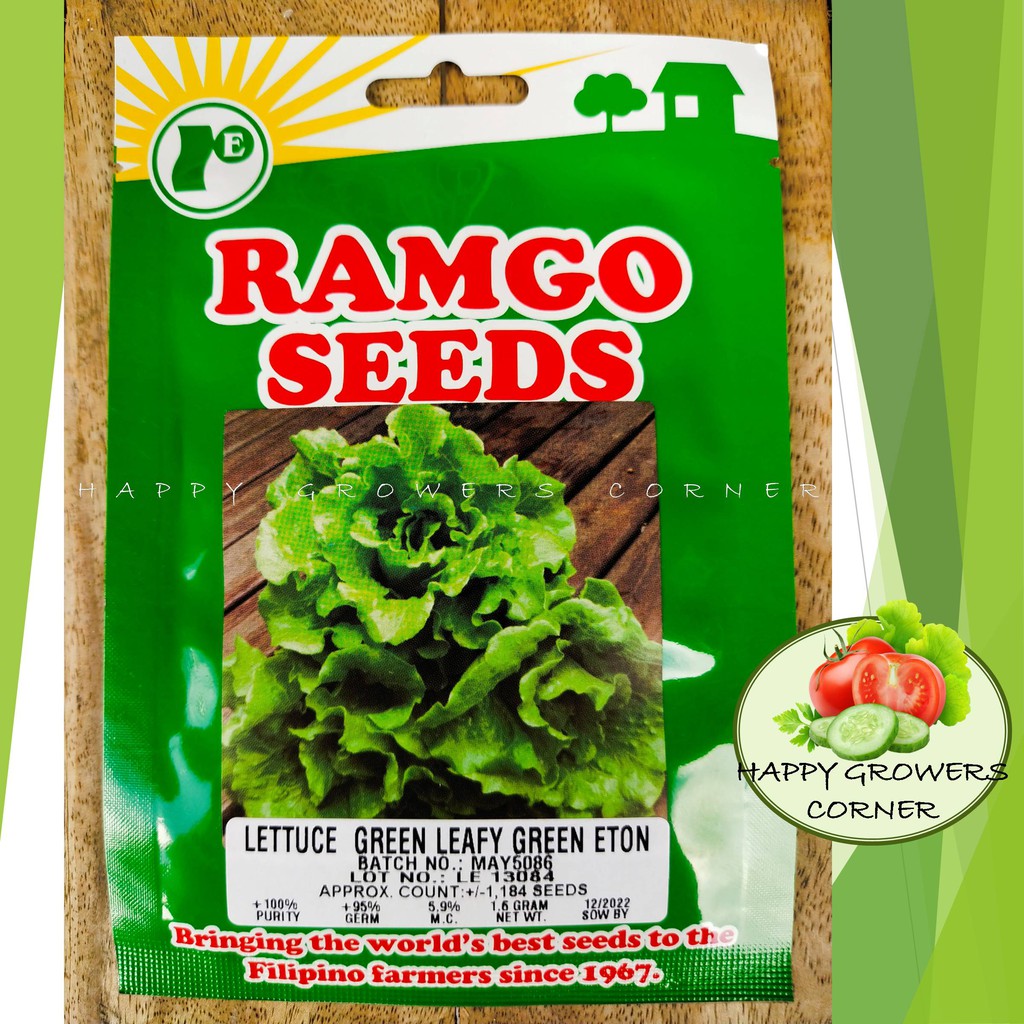 LETTUCE GREEN LEAFY GREEN ETON (1.6 GRAMS) RAMGO SEEDS Shopee Philippines