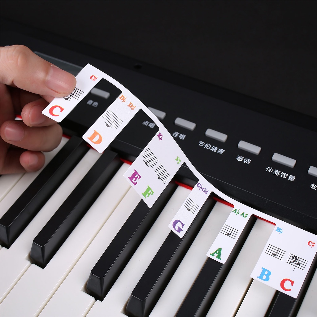 Piano Keyboard Stickers Grand/Upright/Electric 61/88 Keys Stave ...