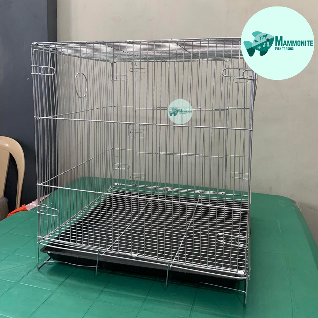 Single bird hot sale cage