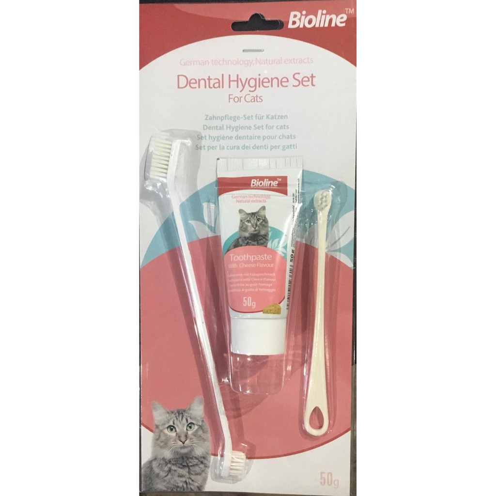 Toothpaste for cats sales