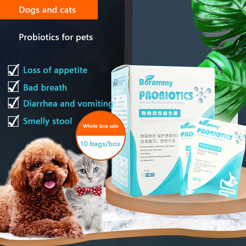 Dogs and cats probiotics pet gastrointestinal treasure puppies cats