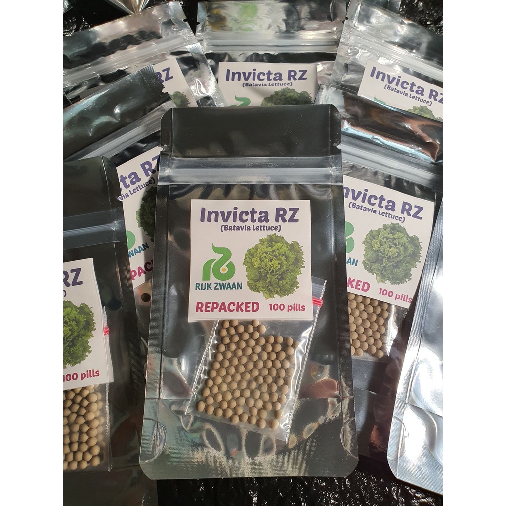 Lettuce Invicta Rz Pelleted Seeds By Rijk Zwaan Repacked 100pcs Shopee Philippines 4657