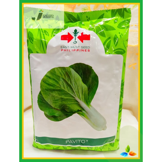 Shop petchay for Sale on Shopee Philippines