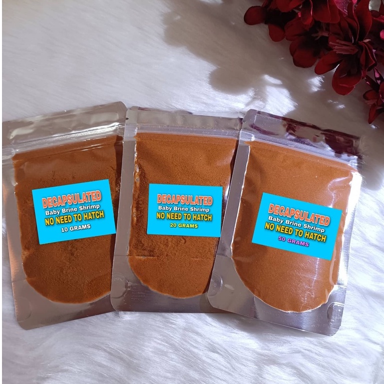 Decapsulated Baby Brine Shrimp BBS (No Need to Hatch) | Shopee Philippines